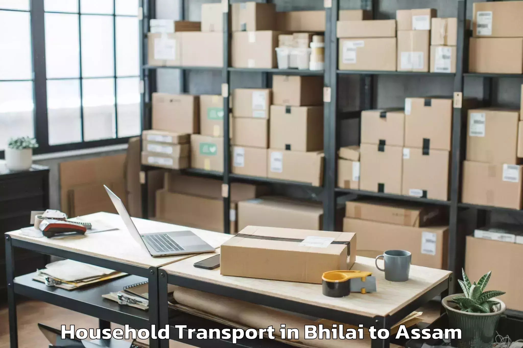 Trusted Bhilai to Titabar Household Transport